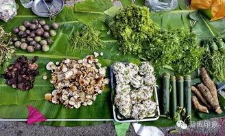 娱乐吃瓜酱云南的花