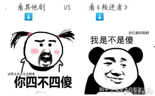 搞笑剧梗,那些让人捧腹大笑的搞笑剧瞬间